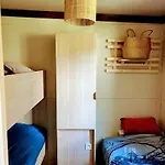 - Ccaibdf