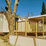- Ccaibdf Kamp alanı *