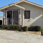 - Ccaibdf Kamp alanı