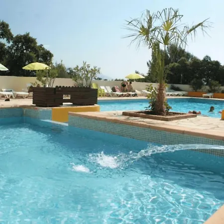 - Ccaibdf キャンプ場 *