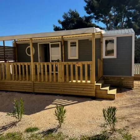 - Ccaibdf キャンプ場 *