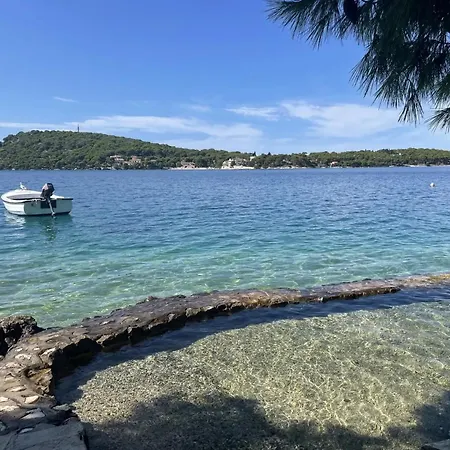 キャンプ場 - Ccaibdf